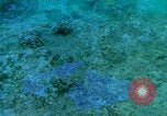 Image of early history Okinawa Ryukyu Islands, 1972, second 56 stock footage video 65675025521