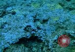 Image of early history Okinawa Ryukyu Islands, 1972, second 58 stock footage video 65675025521