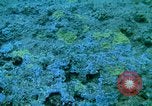 Image of early history Okinawa Ryukyu Islands, 1972, second 60 stock footage video 65675025521