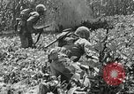 Image of Battle for Okinawa Okinawa Ryukyu Islands, 1945, second 51 stock footage video 65675025522