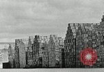 Standbild Wachstum der Insel Okinawa Ryukyu Inseln, 1945, aus Sekunde 18 historischem Filmmaterial Videoclip 65675025523