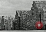 Standbild Wachstum der Insel Okinawa Ryukyu Inseln, 1945, aus Sekunde 21 historischem Filmmaterial Videoclip 65675025523