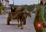 Standbild Verkehr auf der Straße Naha City Okinawa Japan, 1972, aus Sekunde 30 historischem Filmmaterial Videoclip 65675025525