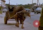 Standbild Verkehr auf der Straße Naha City Okinawa Japan, 1972, aus Sekunde 31 historischem Filmmaterial Videoclip 65675025525