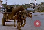 Standbild Verkehr auf der Straße Naha City Okinawa Japan, 1972, aus Sekunde 32 historischem Filmmaterial Videoclip 65675025525