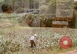 Image of Native people Okinawa Ryukyu Islands, 1972, second 30 stock footage video 65675025529