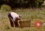 Image of Native people Okinawa Ryukyu Islands, 1972, second 34 stock footage video 65675025529