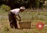 Image of Native people Okinawa Ryukyu Islands, 1972, second 35 stock footage video 65675025529