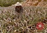 Image of Native people Okinawa Ryukyu Islands, 1972, second 36 stock footage video 65675025529