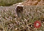Image of Native people Okinawa Ryukyu Islands, 1972, second 37 stock footage video 65675025529