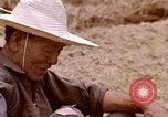 Image of Native people Okinawa Ryukyu Islands, 1972, second 46 stock footage video 65675025529