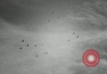 Image of Airplanes at Air show Tokyo Japan, 1953, second 35 stock footage video 65675025532
