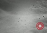 Image of Airplanes at Air show Tokyo Japan, 1953, second 36 stock footage video 65675025532
