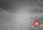 Image of Airplanes at Air show Tokyo Japan, 1953, second 37 stock footage video 65675025532