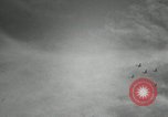 Image of Airplanes at Air show Tokyo Japan, 1953, second 38 stock footage video 65675025532