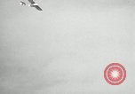Image of Gliders at air show Tokyo Japan, 1953, second 40 stock footage video 65675025533