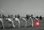 Image of Air show Tokyo Japan, 1953, second 26 stock footage video 65675025536