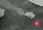 Image of Air show Tokyo Japan, 1953, second 7 stock footage video 65675025537