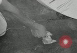 Image of Air show Tokyo Japan, 1953, second 10 stock footage video 65675025537