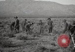 Image of U.S. Army Motor Transport Convoy of 1919 Utah United States USA, 1919, second 3 stock footage video 65675025556
