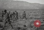 Image of U.S. Army Motor Transport Convoy of 1919 Utah United States USA, 1919, second 6 stock footage video 65675025556