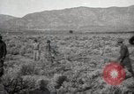 Image of U.S. Army Motor Transport Convoy of 1919 Utah United States USA, 1919, second 15 stock footage video 65675025556