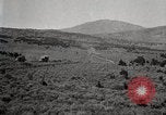 Image of Holt tractor pulling trucks through wet sand Nevada United States USA, 1919, second 43 stock footage video 65675025558