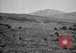 Image of Holt tractor pulling trucks through wet sand Nevada United States USA, 1919, second 44 stock footage video 65675025558