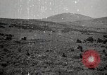 Image of Holt tractor pulling trucks through wet sand Nevada United States USA, 1919, second 48 stock footage video 65675025558