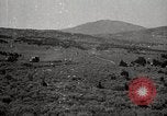 Image of Holt tractor pulling trucks through wet sand Nevada United States USA, 1919, second 49 stock footage video 65675025558