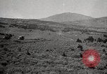Image of Holt tractor pulling trucks through wet sand Nevada United States USA, 1919, second 50 stock footage video 65675025558