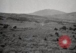 Image of Holt tractor pulling trucks through wet sand Nevada United States USA, 1919, second 53 stock footage video 65675025558