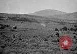 Image of Holt tractor pulling trucks through wet sand Nevada United States USA, 1919, second 59 stock footage video 65675025558