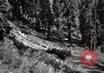 Image of U.S. Army motor transport convoy crossing mountains California United States USA, 1919, second 38 stock footage video 65675025559