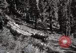 Image of U.S. Army motor transport convoy crossing mountains California United States USA, 1919, second 39 stock footage video 65675025559