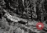 Image of U.S. Army motor transport convoy crossing mountains California United States USA, 1919, second 40 stock footage video 65675025559