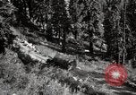 Image of U.S. Army motor transport convoy crossing mountains California United States USA, 1919, second 41 stock footage video 65675025559