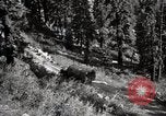 Image of U.S. Army motor transport convoy crossing mountains California United States USA, 1919, second 42 stock footage video 65675025559