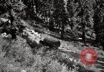 Image of U.S. Army motor transport convoy crossing mountains California United States USA, 1919, second 44 stock footage video 65675025559