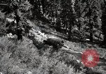 Image of U.S. Army motor transport convoy crossing mountains California United States USA, 1919, second 45 stock footage video 65675025559