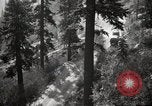 Image of U.S. Army motor transport convoy in picturesque mountains California United States USA, 1919, second 3 stock footage video 65675025560