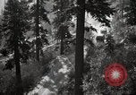 Image of U.S. Army motor transport convoy in picturesque mountains California United States USA, 1919, second 5 stock footage video 65675025560