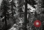 Image of U.S. Army motor transport convoy in picturesque mountains California United States USA, 1919, second 7 stock footage video 65675025560