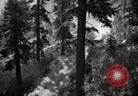 Image of U.S. Army motor transport convoy in picturesque mountains California United States USA, 1919, second 9 stock footage video 65675025560