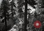 Image of U.S. Army motor transport convoy in picturesque mountains California United States USA, 1919, second 10 stock footage video 65675025560