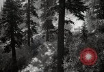 Image of U.S. Army motor transport convoy in picturesque mountains California United States USA, 1919, second 13 stock footage video 65675025560