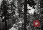 Image of U.S. Army motor transport convoy in picturesque mountains California United States USA, 1919, second 17 stock footage video 65675025560