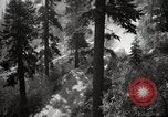 Image of U.S. Army motor transport convoy in picturesque mountains California United States USA, 1919, second 18 stock footage video 65675025560