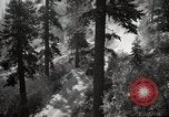 Image of U.S. Army motor transport convoy in picturesque mountains California United States USA, 1919, second 19 stock footage video 65675025560