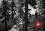 Image of U.S. Army motor transport convoy in picturesque mountains California United States USA, 1919, second 20 stock footage video 65675025560
